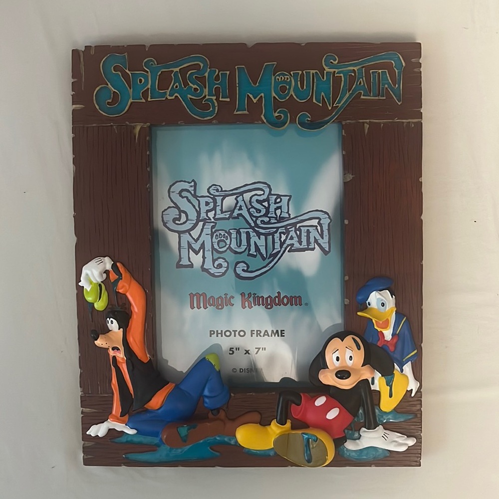 RARE vintage splash mountain picture frame